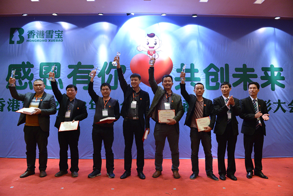 板材十大品牌-雪寶銷售三等獎 板材十大品牌-雪寶銷售三等獎