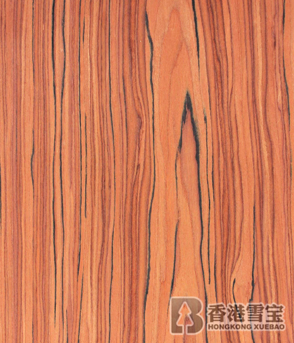 中國(guó)板材十大品牌