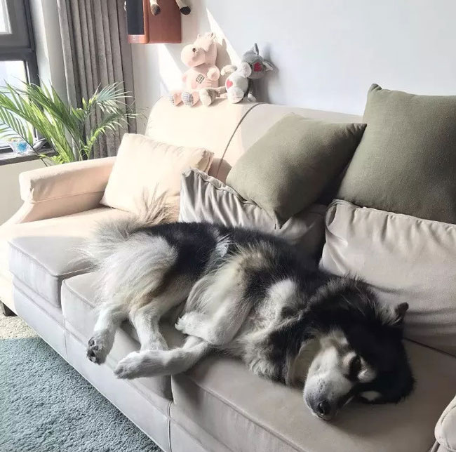 ���Ќ�������b���Լ��ļ������@Щ�����܎��톢�l(f��)��