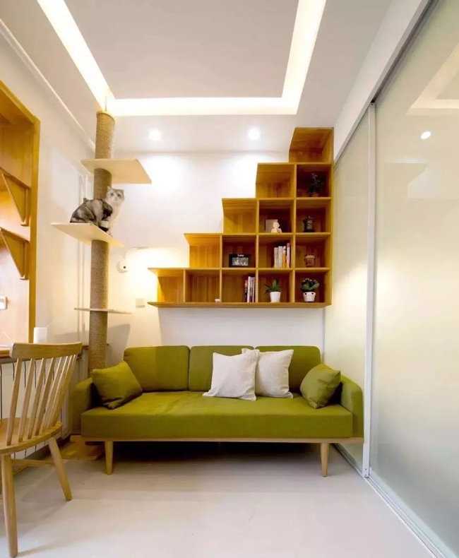 ���Ќ�������b���Լ��ļ������@Щ�����܎��톢�l(f��)��