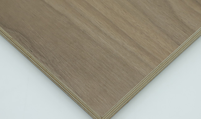 ���B(t��i)����ʲô�����B(t��i)����ʲô��(y��u)��(sh��)��